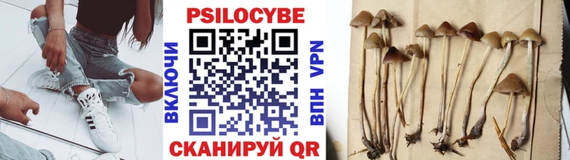 Галлюциногенные грибы Magic Shrooms Киренск