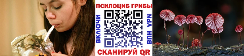 Купить где  Киренск  Псилоцибиновые грибы прущие грибы 